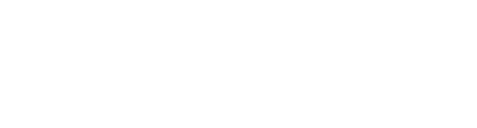 Financial Issues Stewardship Ministries